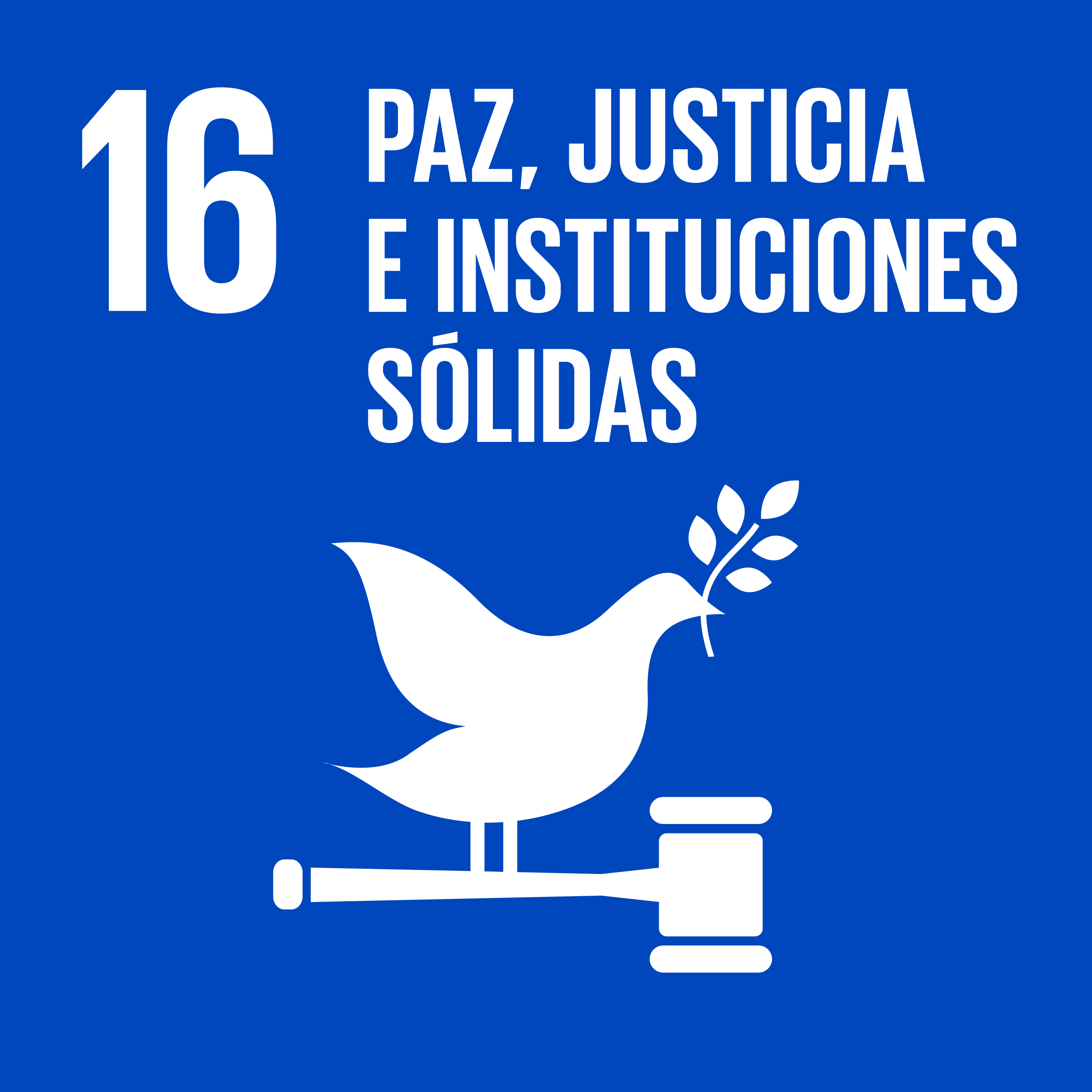 16 Paz, justicia y solidaridad